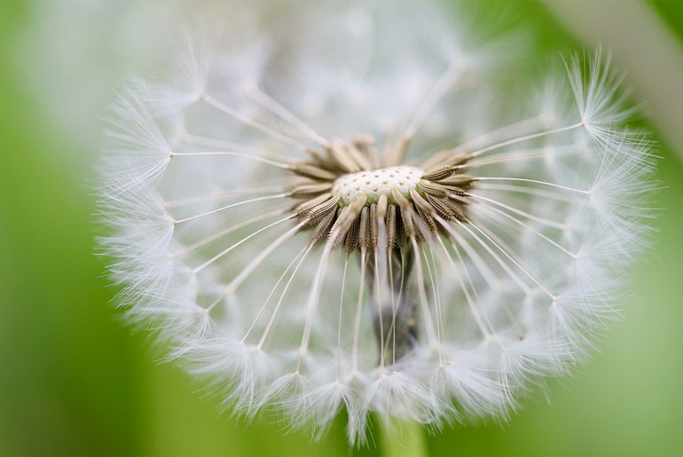 IGEL-individuelle Gesundheitsleistungen